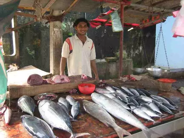 Unsa man ang bili sa pagpalit sa Hikkaduwe? 21418_5