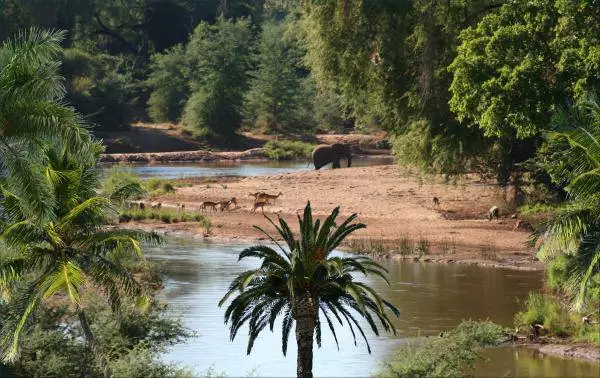 Ποια ενδιαφέρουσες θέσεις μπορούν να επισκεφθούν στη Σενεγάλη κατά τη διάρκεια της αυτο-ταξιδιού; 21433_11