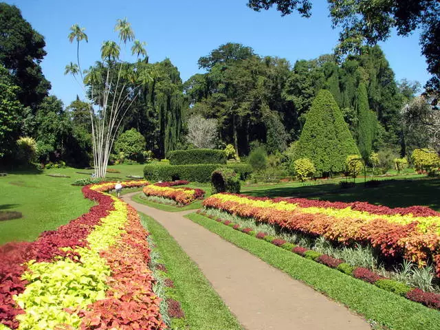 Wat moet je verwachten van rust in Kandy? 21447_5