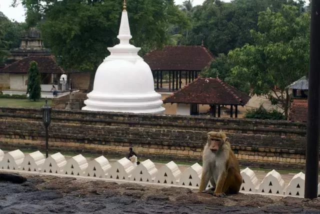 കണ്ടിയിൽ വിശ്രമിക്കുന്നതിൽ നിന്ന് നിങ്ങൾ എന്താണ് പ്രതീക്ഷിക്കേണ്ടത്? 21447_8