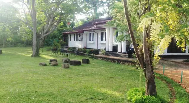 Hotel yang lebih baik untuk tinggal di Dambulla? 21457_4