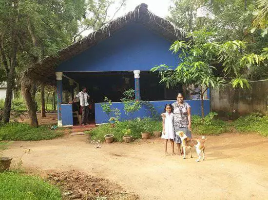 Descansa en Dambulla: Onde comer e canto custa? 21461_10