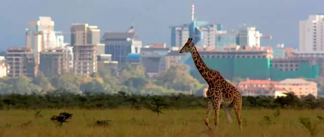 Vacances au Kenya: Quel genre de village choisir? 21507_5