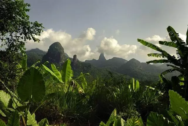 Is het de moeite waard om naar Gabon te gaan? 21511_4