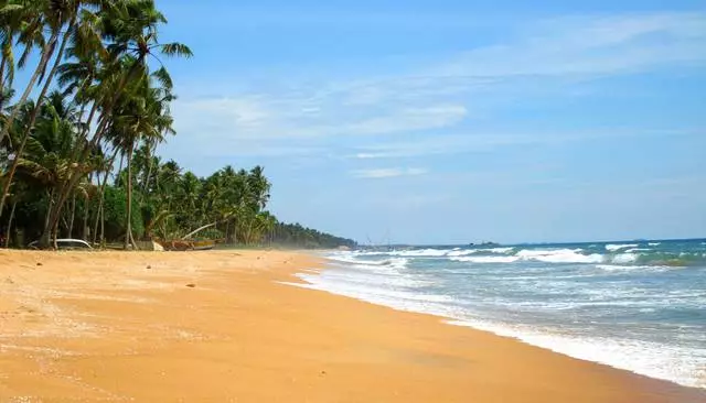 Comment prendre des vacances à Waddwe? 21578_1