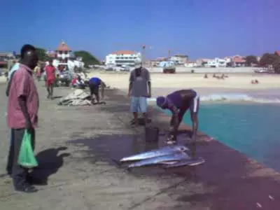 E taua le alu i le cape verde? 21594_9