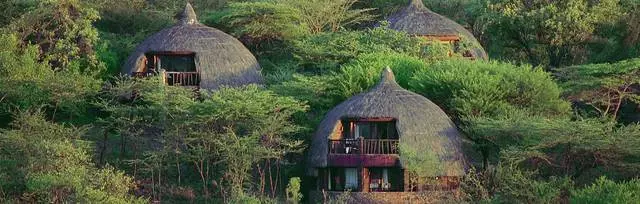 Independent holiday in Tanzania. Helpful information. 21616_12