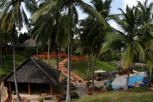 Mga Tampok ng Pahinga sa Mafia Island. 21618_11