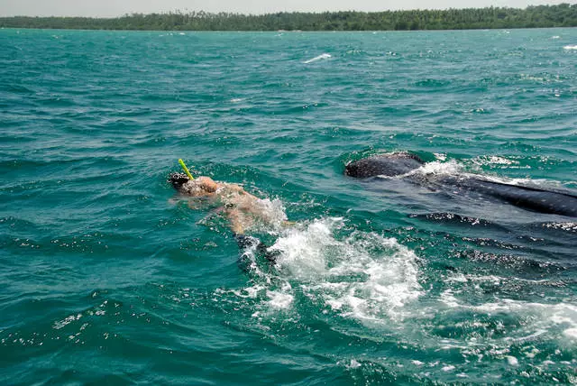 Características de descanso na ilha da máfia 21618_3