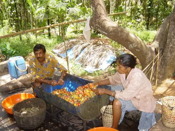 អ្វីដែលត្រូវសាកល្បងហើយតើខ្ញុំអាចញ៉ាំនៅកន្លែងណាក្នុងអណ្ដាតនេះ? 21634_13