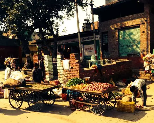 Quanto custa comer em Vrindavan? Onde melhor para comer? 21652_7