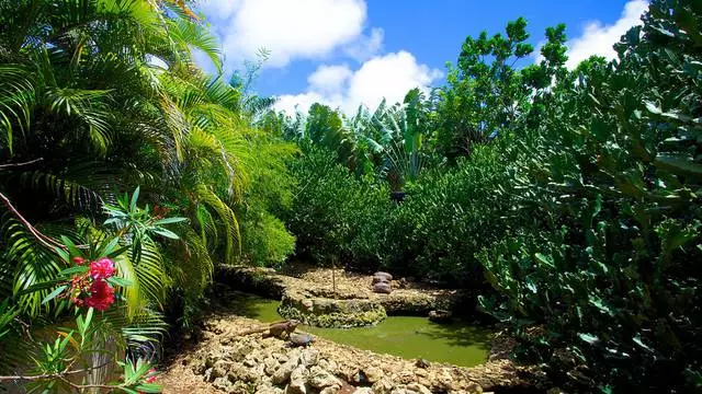 Atseden independentea Barbados-en. Aholkuak eta gomendioak. 21690_2