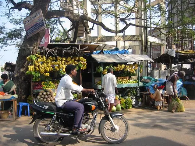 Què puc comprar a Mahabalipuram? 21732_5