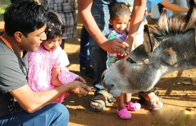 Ke mana harus pergi dengan anak-anak di Bangalore? 21800_8