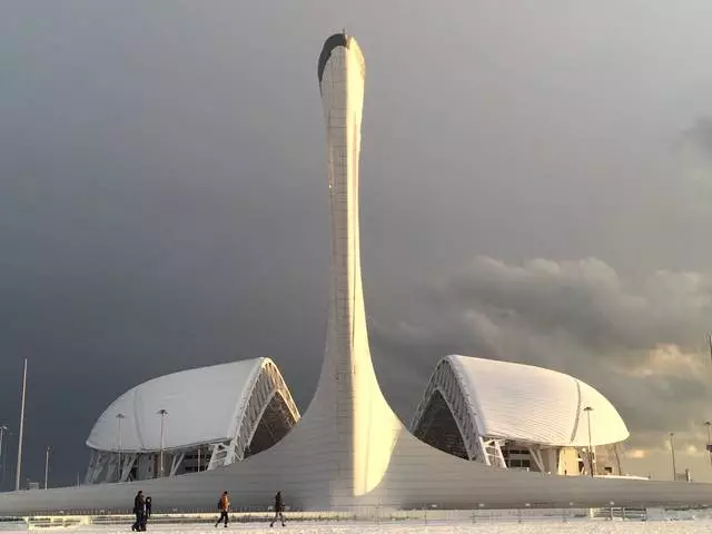 Пальми під снігом. 22020_5