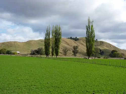 Neuseeland, Auckland - unvergessliche Eindrücke 22217_2