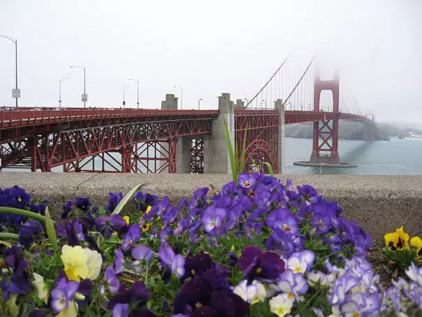 San Francisco - flere byer i en