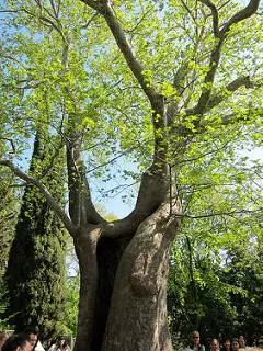 Ανασκόπηση της εκδρομής στο Ariday-Edessa 22757_2