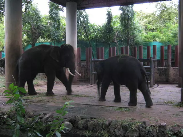 Descansar con nenos en Bangkok 22869_11