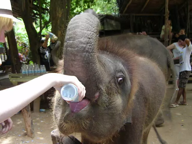 Ni uruhe rugendo rukwiriye gusura i Kanchanaburi?