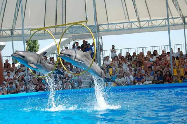 Vacances économiques avec un enfant à Skadovsk! 23035_3