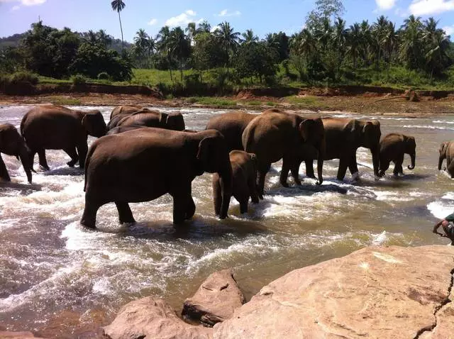 Sri Lanka - Voi reveni cu siguranță! 23045_3