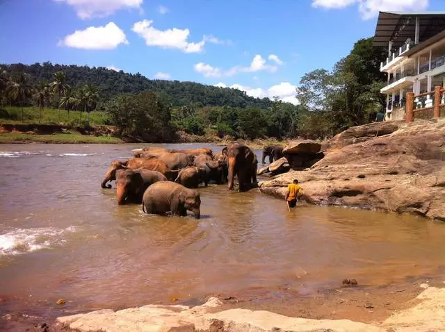 Sri Lanka - Ich werde auf jeden Fall wiederkommen! 23045_4