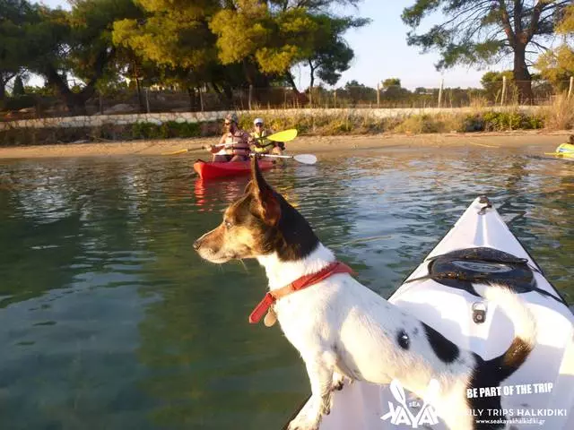 Reunión del atardecer en vurveyra (kayak) 23256_5