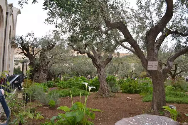 Τι να δείτε στην Ιερουσαλήμ; Ιερό σημείο στη γη. 23598_2