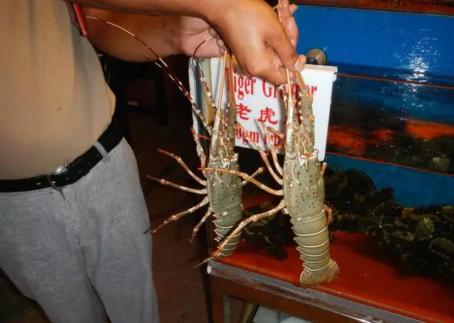 Vacances exotiques en mars sur l'île de Langkavi, en Malaisie. 23628_4