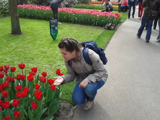 Garden Flowers - Koykenhof i Amsterdam / anmeldelser af udflugt og seværdigheder i Amsterdam