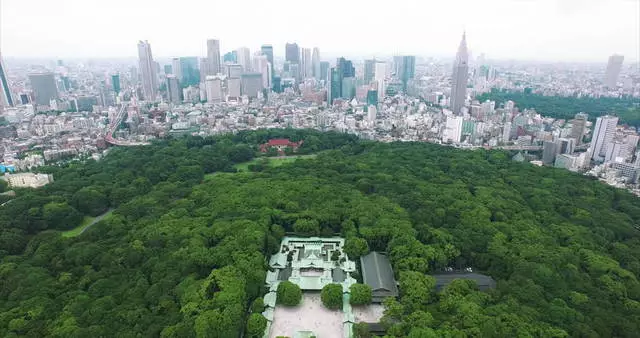 Park Joyogi / Ongororo yeExpursion uye kuona Tokyo