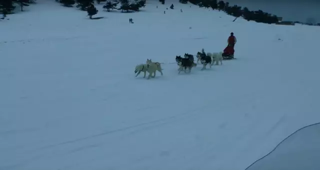 РІЗДВЯНІ СВЯТА В ЯЛТІ. 24024_2