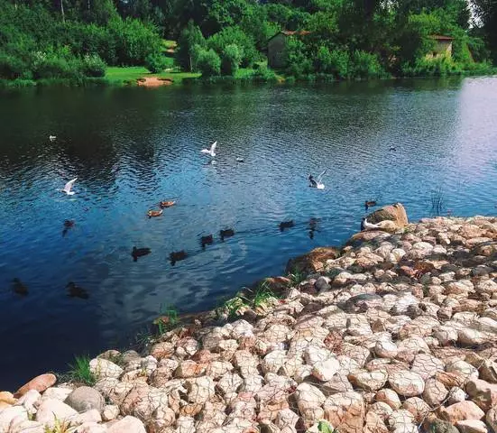 Parc finlandais pour loisirs et animations / critiques de Tours et attractions Pskov 24042_2