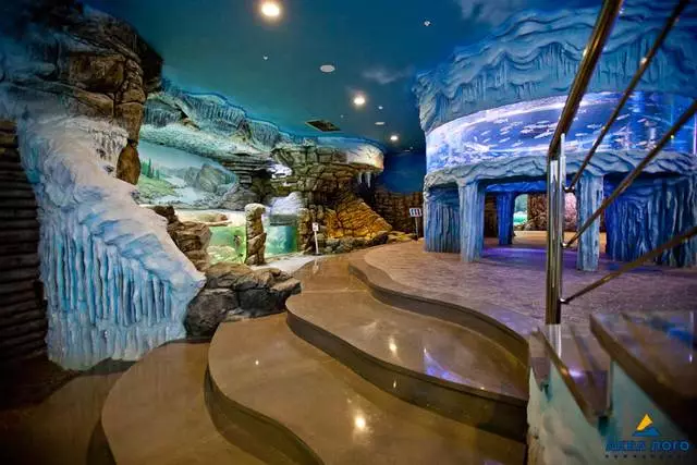 Voronezh Oceanarium - معجزه دور از دریا / بررسی در مورد تورها و مناظر Voronezh