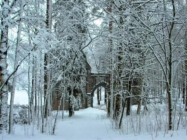 Çi di yek rojê de li Vyborg bibînin