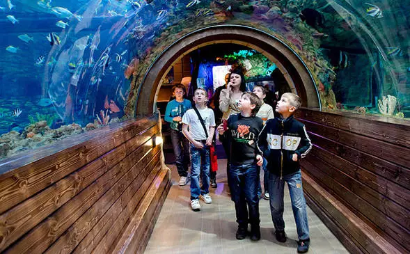 Famba uchipfuura Voronezh Oceanariarium / Ongororo yeCreatursion uye kuona kweVoronezh 24631_4