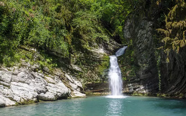 Caminando por el Parque Nacional Sochi / Revisiones de Excursión y Muy vistas de Sochi