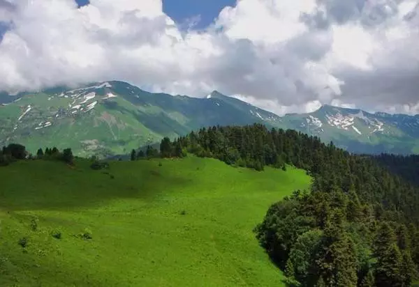 Savali i luga o le Sochei National Park / Iloiloga o tafaoga faamasani ma vaaiga o sosi 24656_3