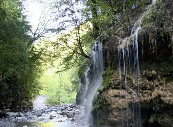 Camiñando polo parque nacional de Sochi / comentarios de excursión e vistas de Sochi 24656_5