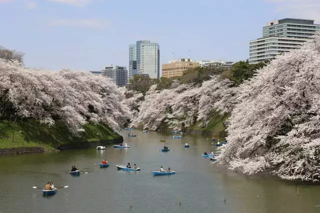 Imperial Palace in Tokio / Resensies van toere en toerisme-aantreklikhede Tokio 24775_2