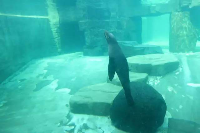 素晴らしいプラハ動物園！ /レビューや観光スポットプラハ