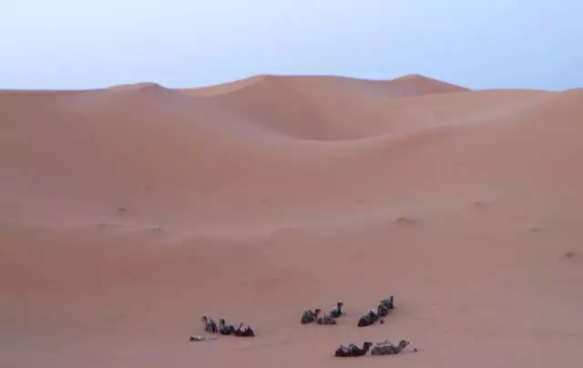 Conto de fadas marroquino em Agadir. 25179_15