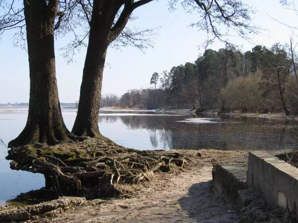 Mezapark é um local de recreação e turismo cultural / resenhas sobre excursões e pontos turísticos Riga 25209_2