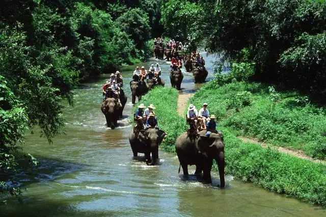 Safari trên voi / đánh giá Giới thiệu về Du ngoạn và Điểm tham quan Bali 25268_2