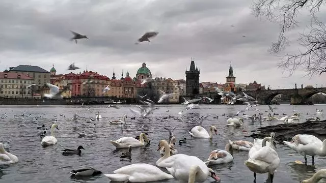 Majestic Prag / Turlar ve Gezilecek Yerler Prag Yorumları 25396_2