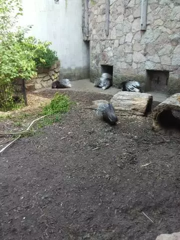 最後に、私は最大のバルト語動物園に着いた！ /レビュー旅行や観光スリ 25518_2