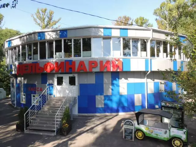 Ang pinakamahusay na palabas sa Nizhny Novgorod Dolphinarium 