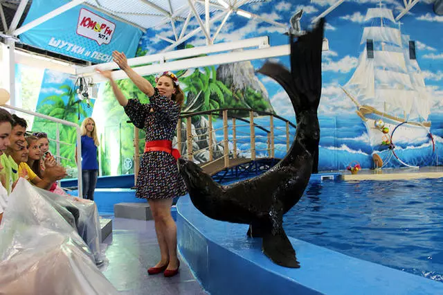 Show Show in the Nizhny Novgorod Dolphinarium 