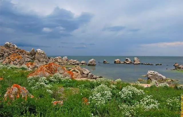 L-aħjar sitt xhur fi Schelkino u Mega adrenaline surf fuq il-mewġ tal-kosta 25994_10